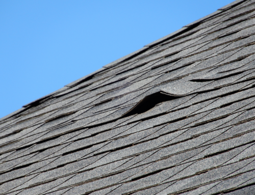 Signs That Your Roof Has Wind Damage
