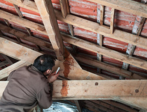 What To Do When Your Roof May Be Leaking