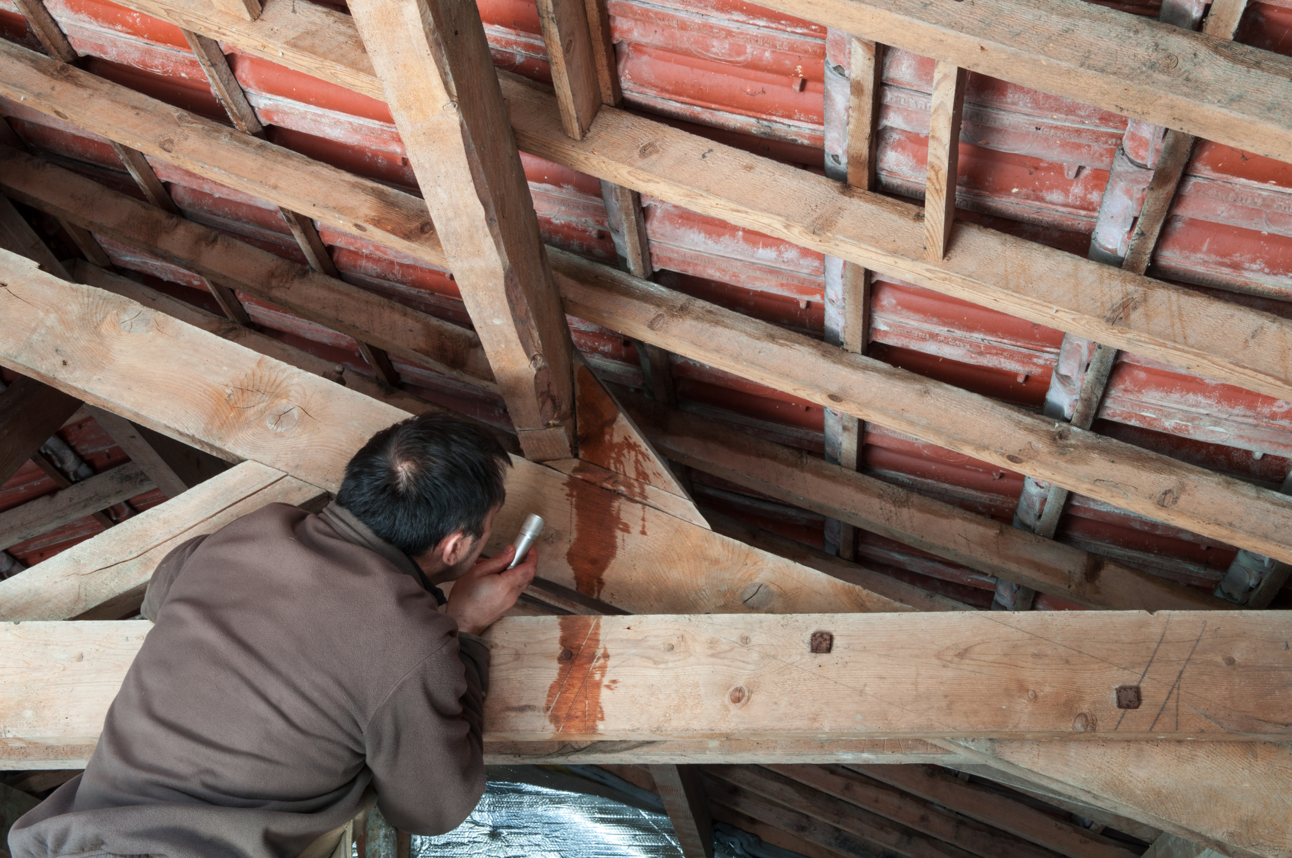 Inspect your roof for leaks