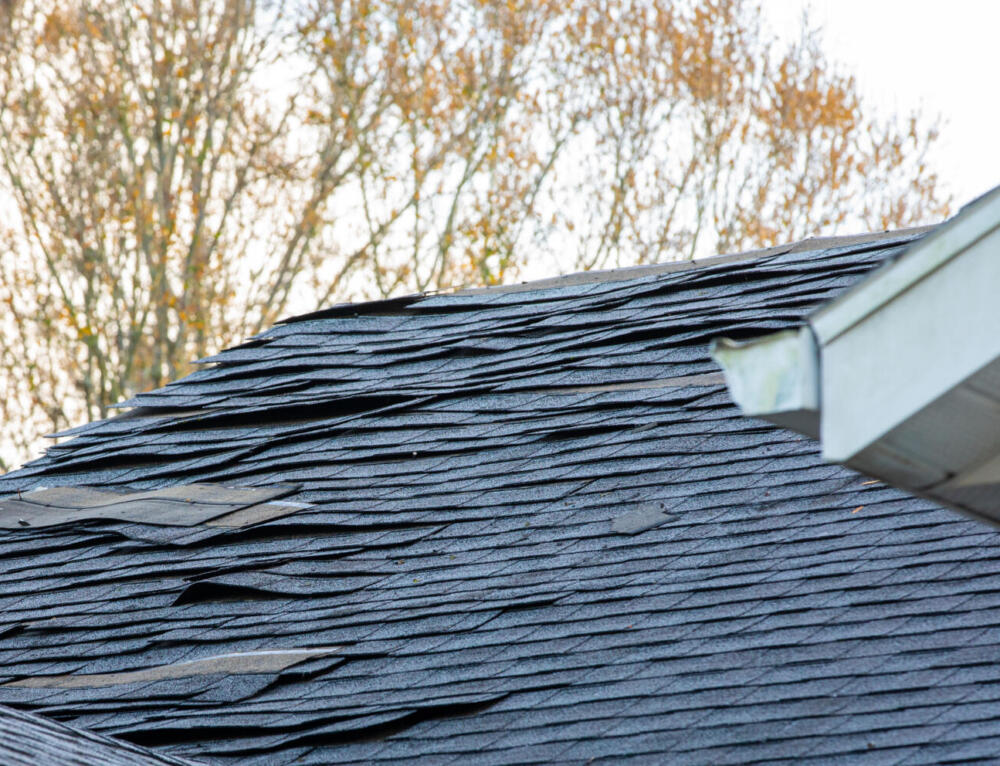 Roofing Anatomy Descriptions Lake Orion Roofing
