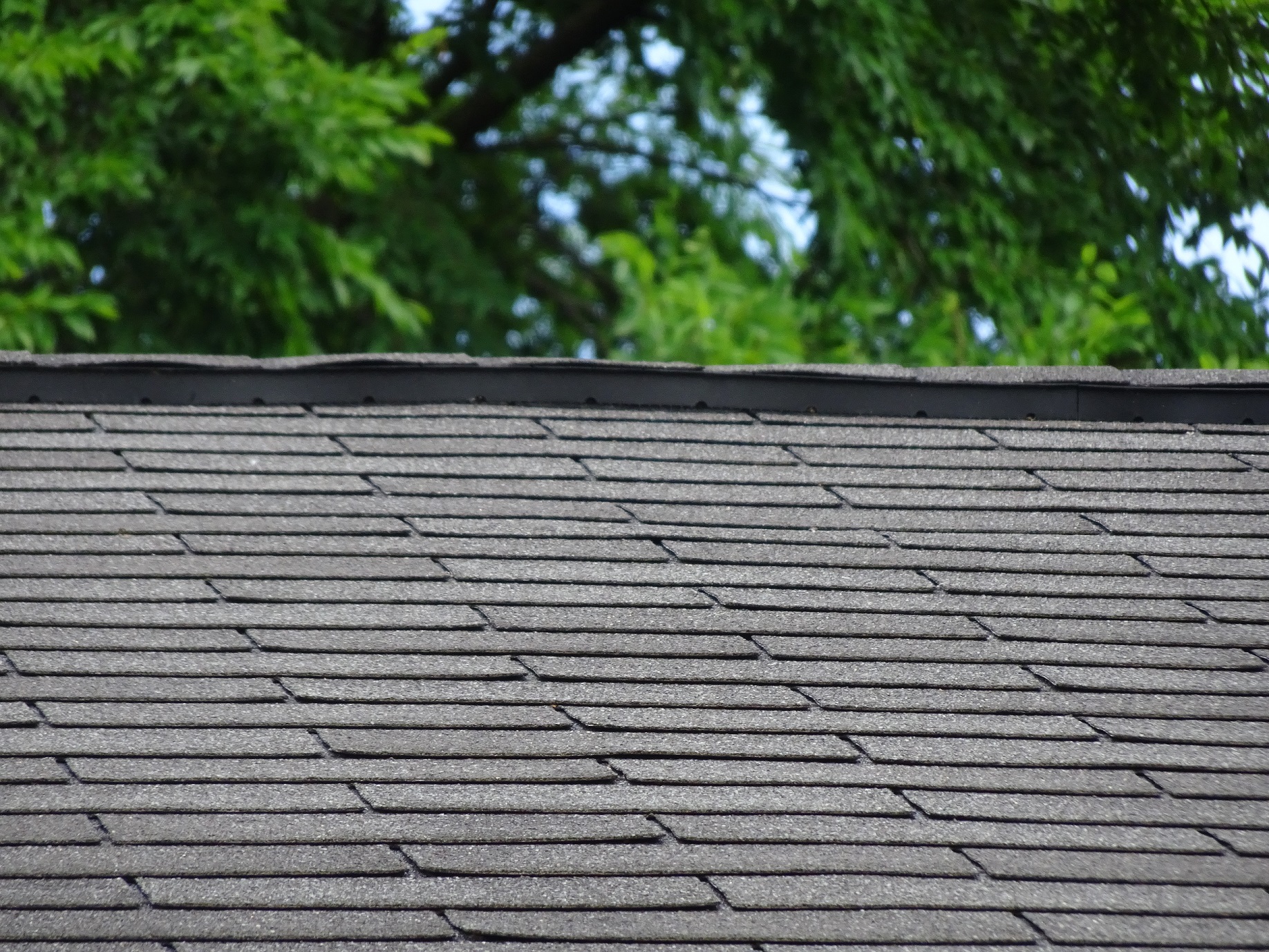 Asphalt Shingles vs Metal Roofing: Which is better?